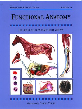 Functional Anatomy: TPG 43